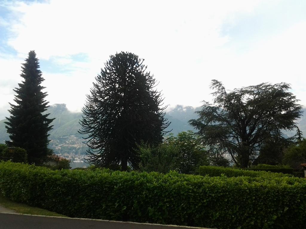 Holiday Home Casa Stefi Piazzogna 外观 照片